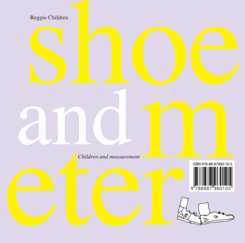 Shoe and meter